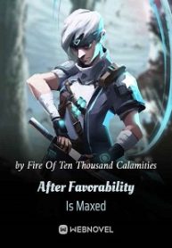 After Favorability Is Maxed Novel