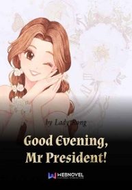 Good Evening, Mr President! Novel