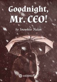 Goodnight, Mr. CEO! Novel