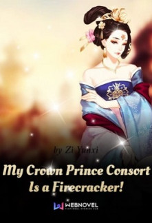 My Crown Prince Consort Is a Firecracker! Novel