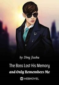 The Boss Lost His Memory and Only Remembers Me Novel