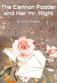 The Cannon Fodder and Her Mr. Right Novel