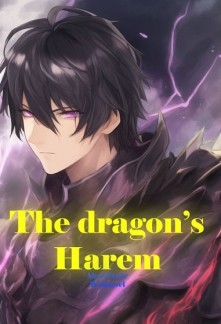 The dragon's harem Novel