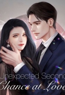Unexpected Second Chance at Love Novel