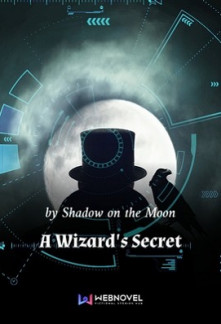 A Wizard’s Secret Novel