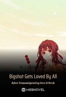 Bigshot Gets Loved By All After Transmigrating Into A Book Novel