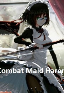 Combat Maid Harem Novel