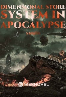 Dimensional Store System In Apocalypse Novel