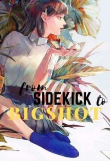 From Sidekick to Bigshot Novel