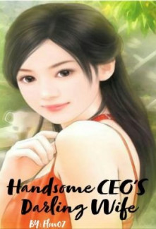Handsome CEO’s Darling Wife Novel
