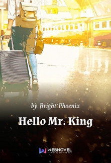 Hello Mr. King Novel