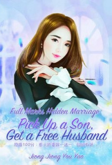 Hidden Marriage Novel