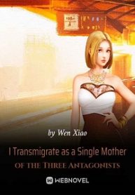 I Transmigrate as a Single Mother of the Three Antagonists Novel