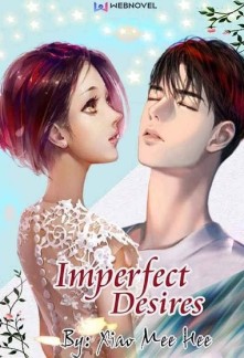 Imperfect Desires Novel