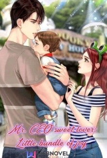 Mr. CEO sweet lover: Little bundle of joy Novel