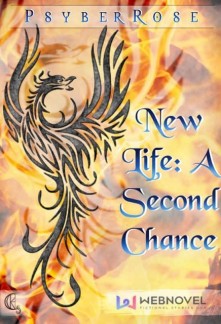 New Life : A Second Chance Novel
