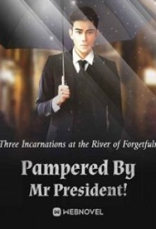 Pampered By Mr President! Novel