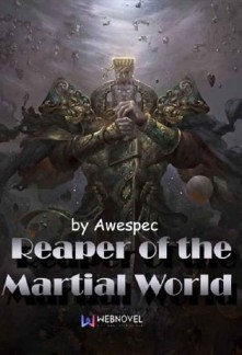 Reaper of the Martial World Novel