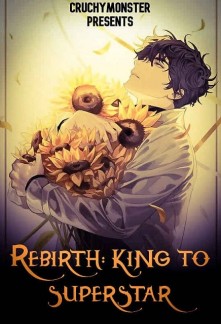 Rebirth: King to Superstar Novel