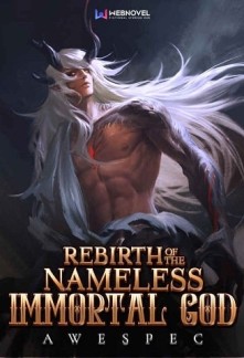 Rebirth of the Nameless Immortal God Novel