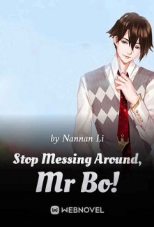 Stop Messing Around, Mr Bo! Novel