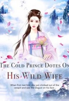 The Cold Prince Dotes On His Wild Wife Novel