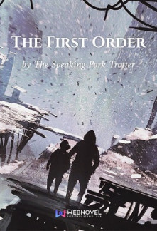The First Order Novel