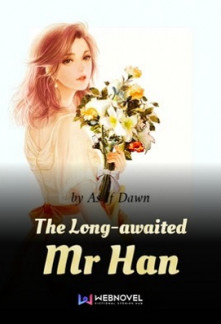 The Long-awaited Mr Han Novel