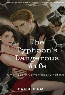 The Typhoon's Dangerous Wife Novel