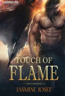 Touch of Flame Novel