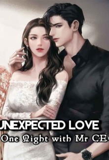 Unexpected Love: One Night With Mr CEO Novel