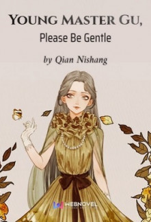 Young Master Gu, Please Be Gentle Novel