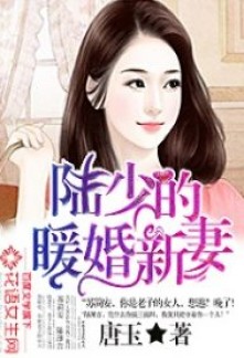 Young Master Lu’s Lovely New Bride Novel